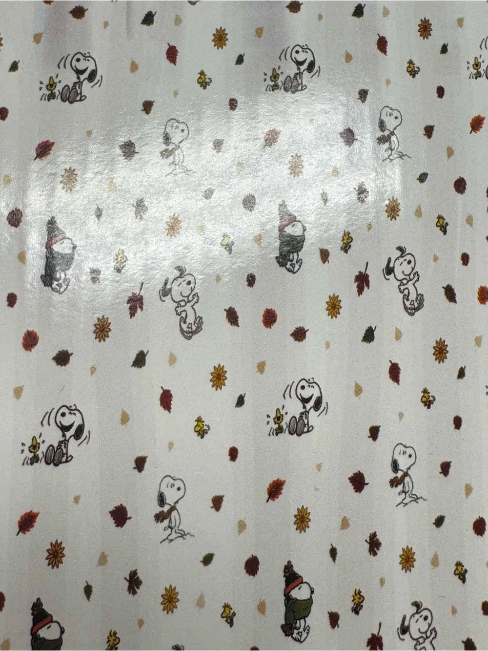 Peanuts Snoopy Fall Fabric Shower Curtain